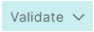 Validate icon