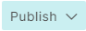 Publish icon